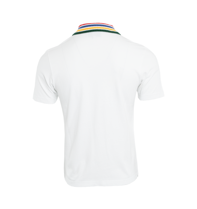 PRIMARY STRIPE KNIT COLLAR CLASSIC POLO (MENS)