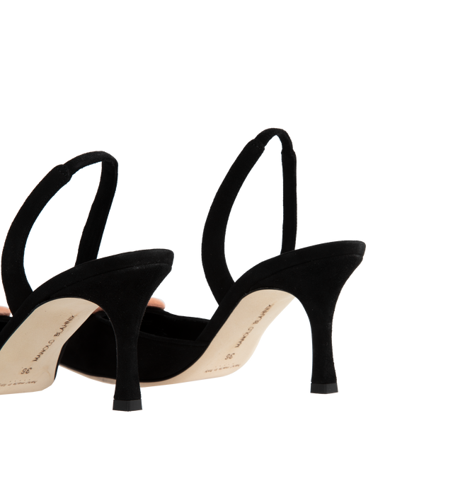 MAYSLIBI MULE