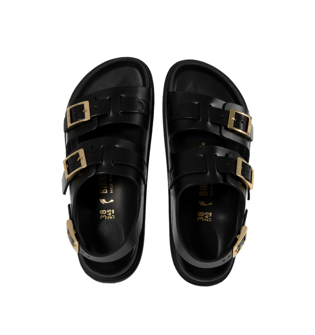 CANNES EXQ (WOMENS)