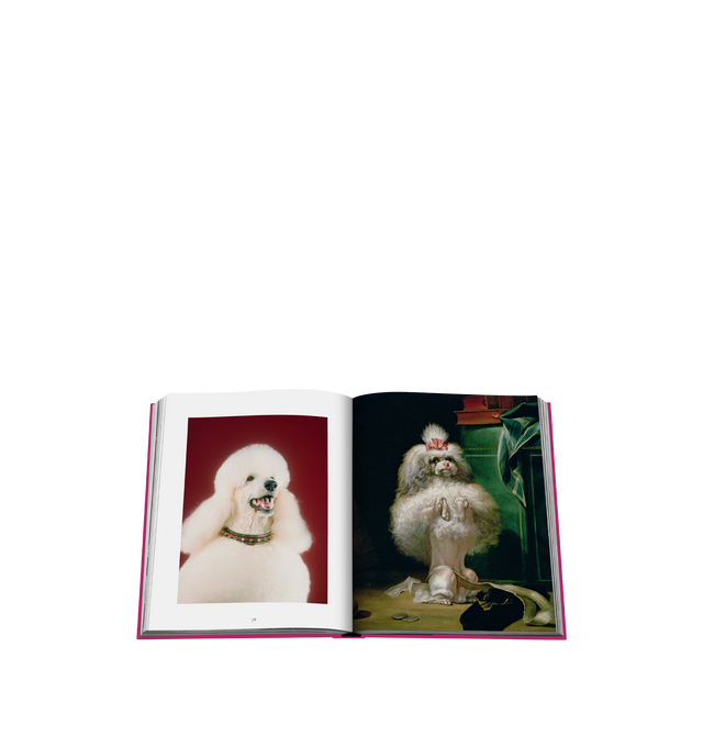 Image 4 of 4 - PINK - ASSOULINE Chic Dogs, Book by Robert Williams featuring a whimsical ride through time, showcasing our four-legged friends not just as pets but as true stars of history and culture, while capturing poise, elegance, and a touch of celebrity glam. From Maria Callas, the legendary soprano, strolling with her poodle, and Winston Churchill, who famously shared a bond with his bulldog, the book also features some of the most famous and unique relationships between iconic figures and their cani