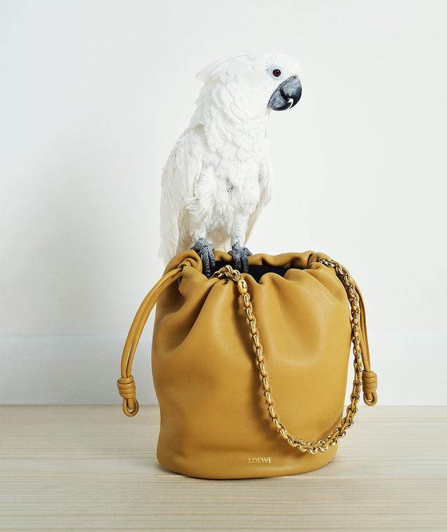 Parrot perched on Loewe Paula's Ibiza flamenco bucket purse in tan nappa leather with chain strap. 