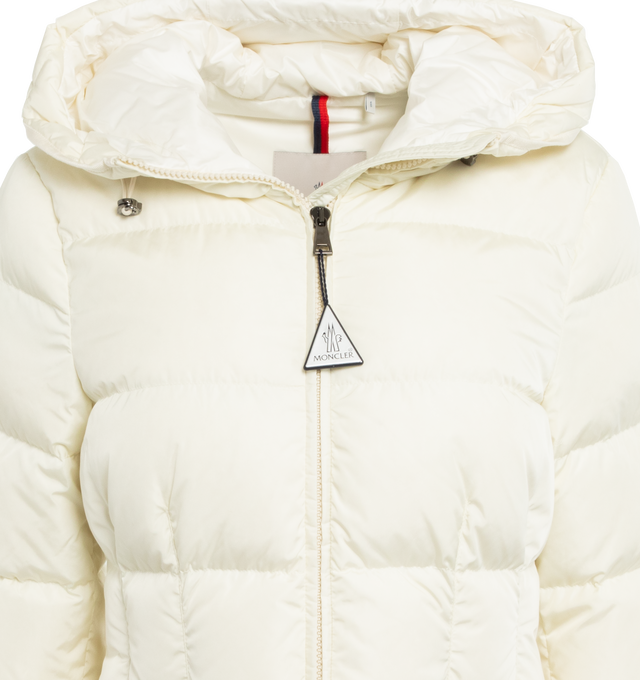 AVOCE JACKET (WOMENS)