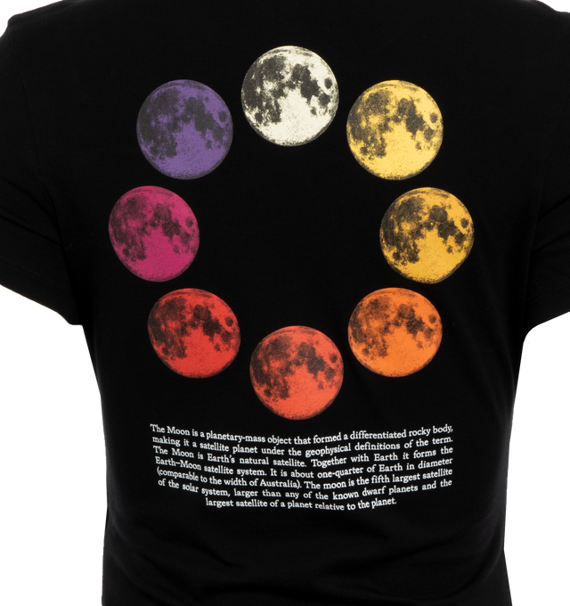 CIRCLE MOON FITTED TEE (WOMENS)
