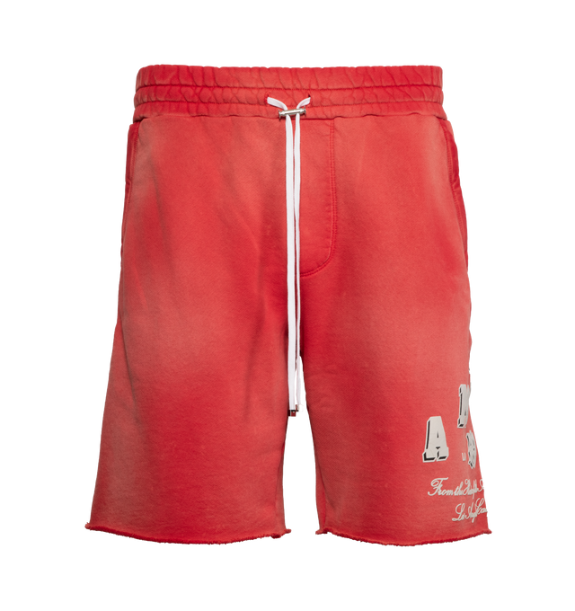 VINTAGE COLLEGIATE SHORTS (MENS)