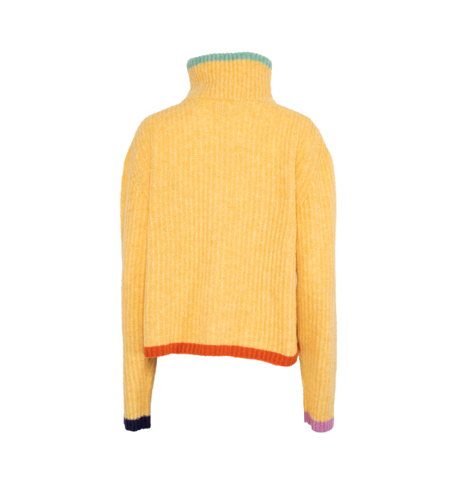 COLOR TRIMMED KNIT TURTLE NECK