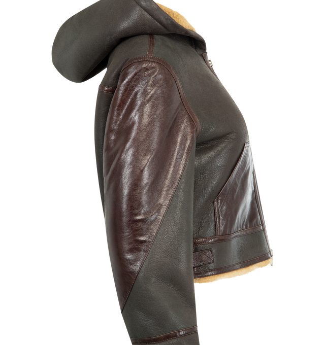 Image 3 of 3 - BROWN - ACNE STUDIOS Shearling Jacket featuring a hood and contrast panel detailing, elongated jersey sleeves, adjustable waist tabs, a metal logo plaque on the hood, fitted silhouette, waist length and two-way zip closure. 100% Lamb shearling. 100% Buffalo leather.