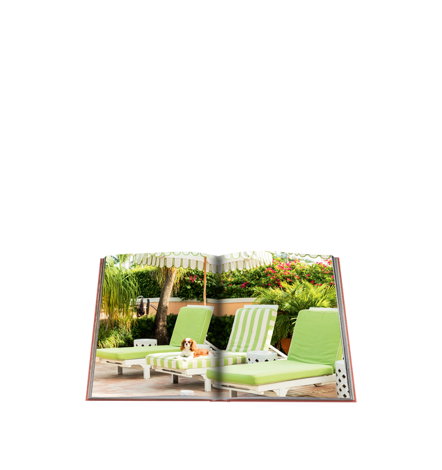 Image 4 of 4 - PINK - ASSOULINE Palm Beach by Aerin Lauder, Linen hardcover book with 304 pages featuring over 200 illustrations. Language: English. Dimensions: W 10 x L 13 x D 1.5. In the early 1900s, Henry Flagler transformed Floridas Southern coast into a luxury resort destination, drawing America's elite and British royalty. In Palm Beach, Aerin Lauder, a longtime resident, takes us through the city's storied history, from its iconic shopping on Worth Avenue to its historic estates and favorite dining s