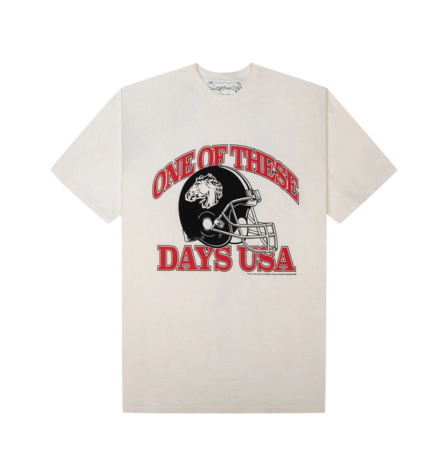 Image 1 of 2 - WHITE - ONE OF THESE DAYS Days USA T-Shirt featuring front graphic, midweight jersey fabric, crew neck, short sleeves and regular fit. 100% cotton. Made in USA.