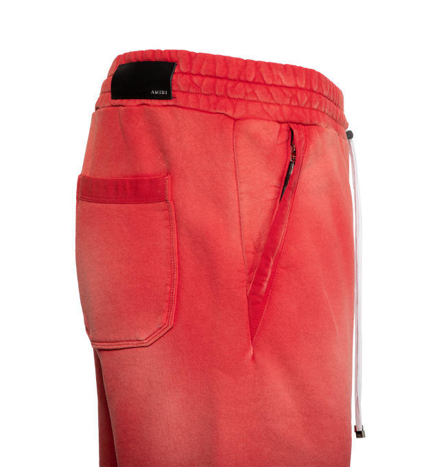 VINTAGE COLLEGIATE SHORTS (MENS)