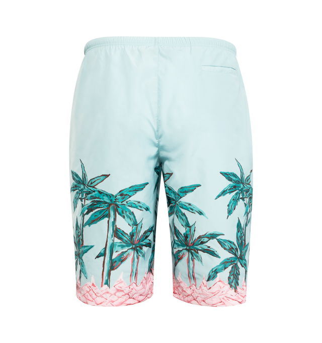 PALMS ROW LONG SWIMSHORTS (MENS)
