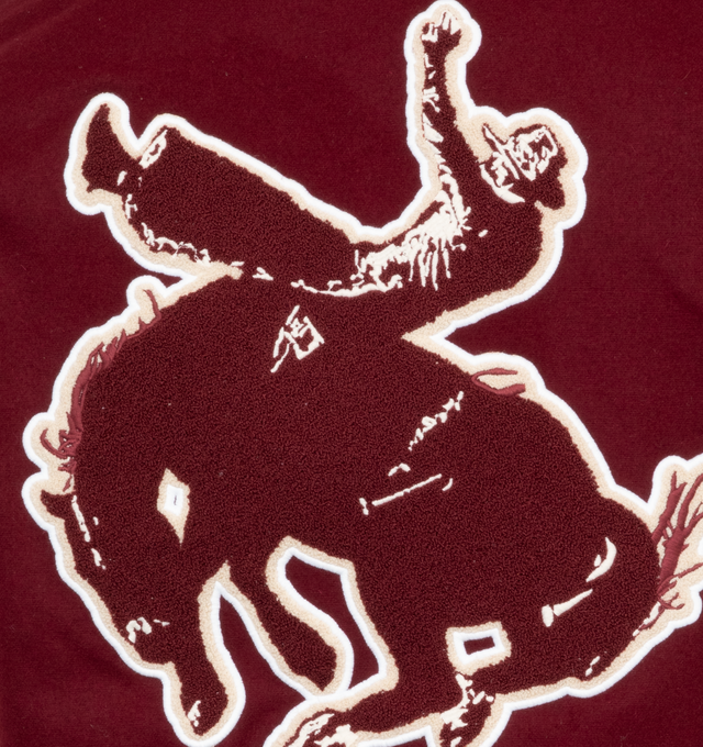 HORSE SHOE CARDINAL VARSITY