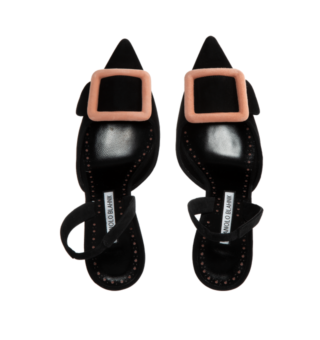 MAYSLIBI MULE