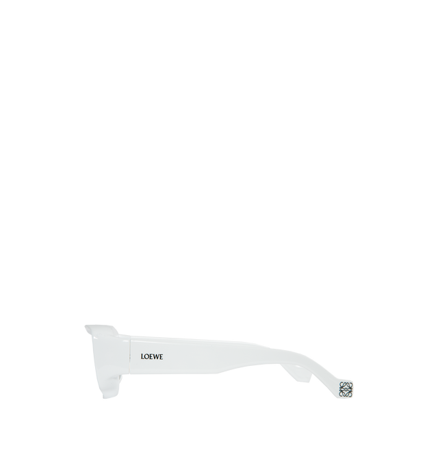 PAULA'S IBIZA SUNGLASSSES (WOMENS)