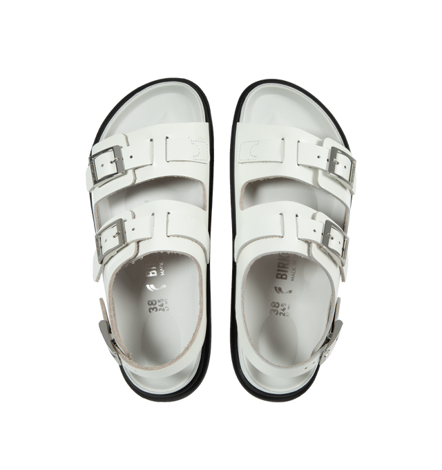 CANNES EXQ (WOMENS)