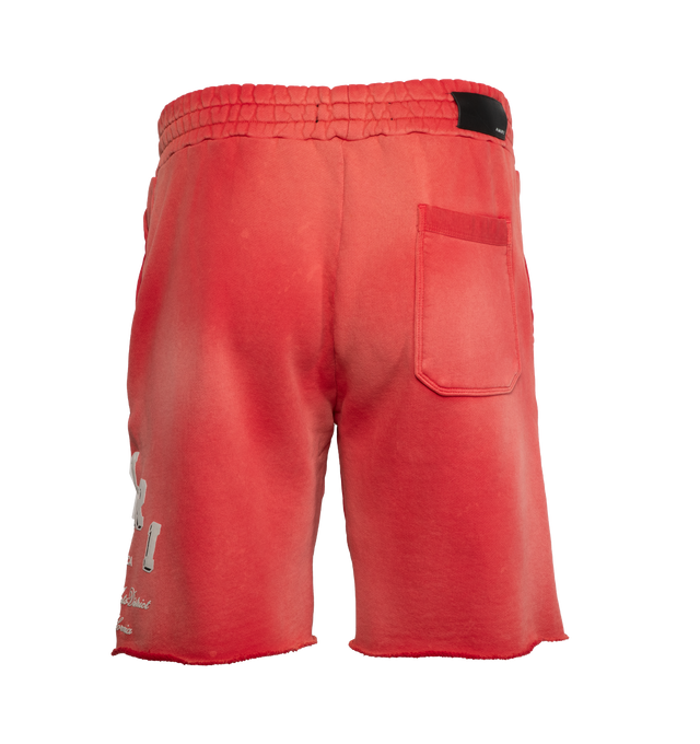 VINTAGE COLLEGIATE SHORTS (MENS)