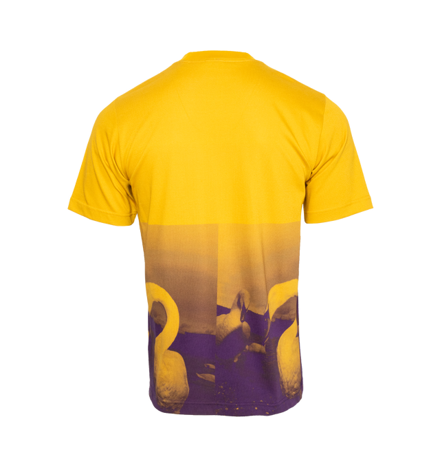SWAN GRAPHIC T-SHIRT (MENS)