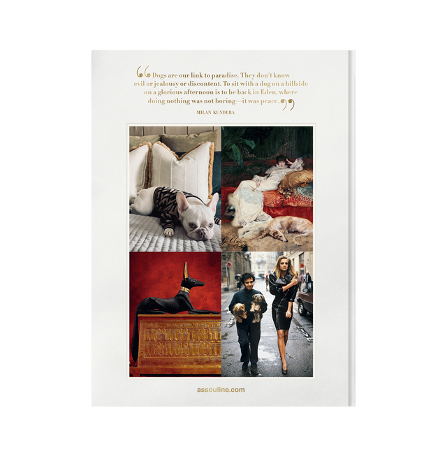Image 3 of 4 - PINK - ASSOULINE Chic Dogs, Book by Robert Williams featuring a whimsical ride through time, showcasing our four-legged friends not just as pets but as true stars of history and culture, while capturing poise, elegance, and a touch of celebrity glam. From Maria Callas, the legendary soprano, strolling with her poodle, and Winston Churchill, who famously shared a bond with his bulldog, the book also features some of the most famous and unique relationships between iconic figures and their cani
