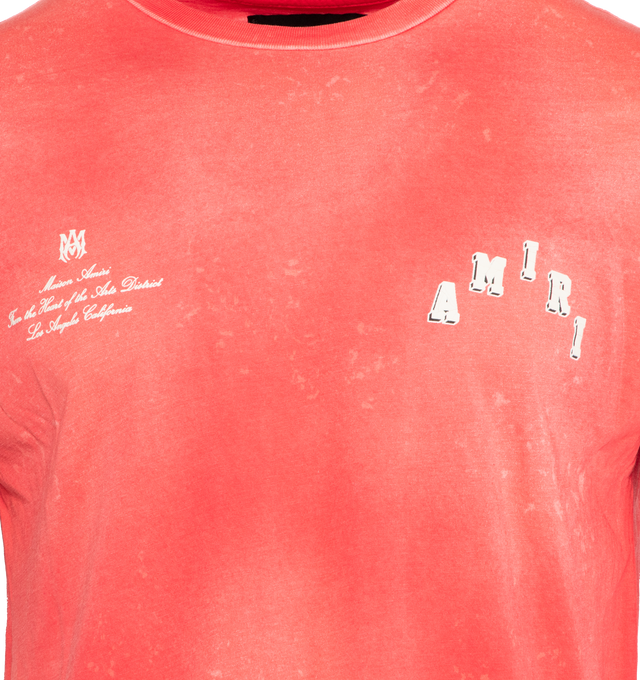 VINTAGE COLLEGIATE TEE (MENS)