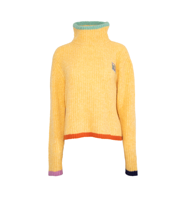 COLOR TRIMMED KNIT TURTLE NECK