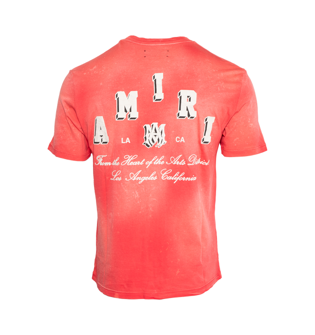 VINTAGE COLLEGIATE TEE (MENS)