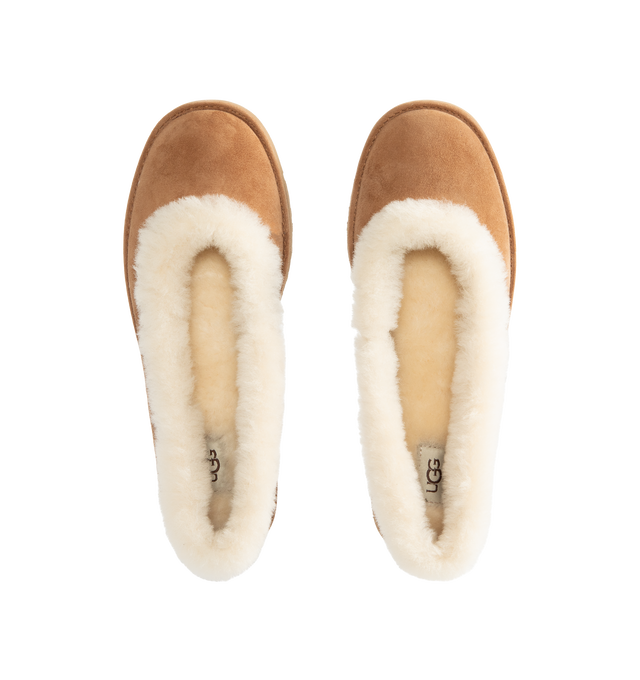 Image 4 of 4 - BROWN - UGG women's Zora ballet flat crafted with a suede upper, plush sheepskin and lamb sockliner, a lightweight sugarcane EVA outsole, UGG Logo, heat-embossed and woven label with The UGG Logo on insole.
