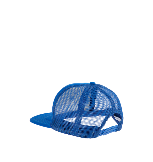 SEX & POLITICS TRUCKER HAT