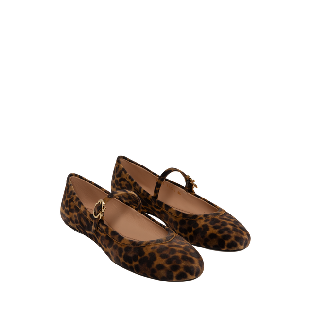 Image 3 of 5 - BROWN - Gianvito Rossi Carla ballerina flat crafted from supple leopard-printed suede, featuring a round toe and a rubber sole. The iconic Ribbon buckle enriches the front Mary Jane strap. Handmade in Italy. 100% SUEDE. Heel height: 0.2 inches / 5 mm.