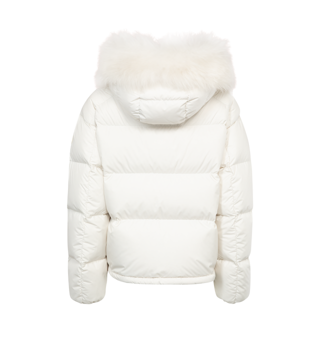 MINO JACKET (WOMENS)