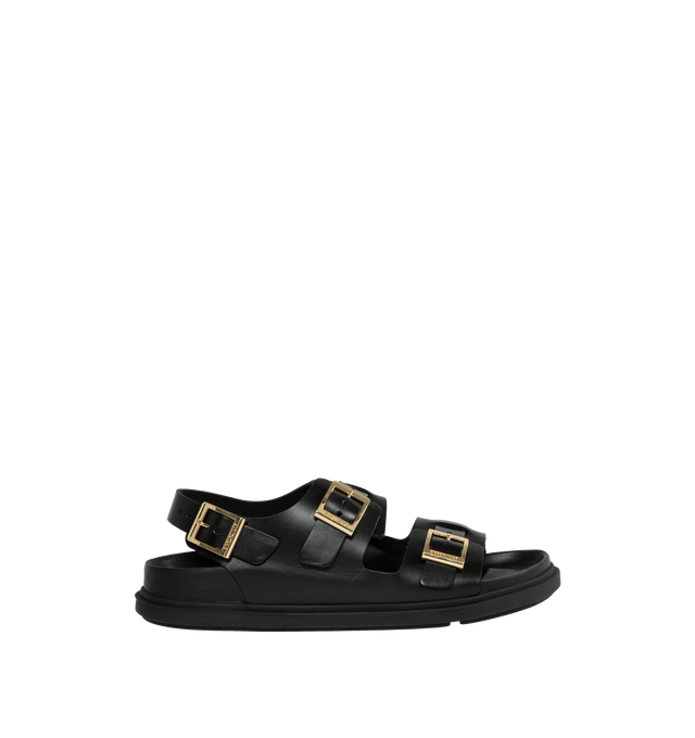 CANNES EXQ (WOMENS)