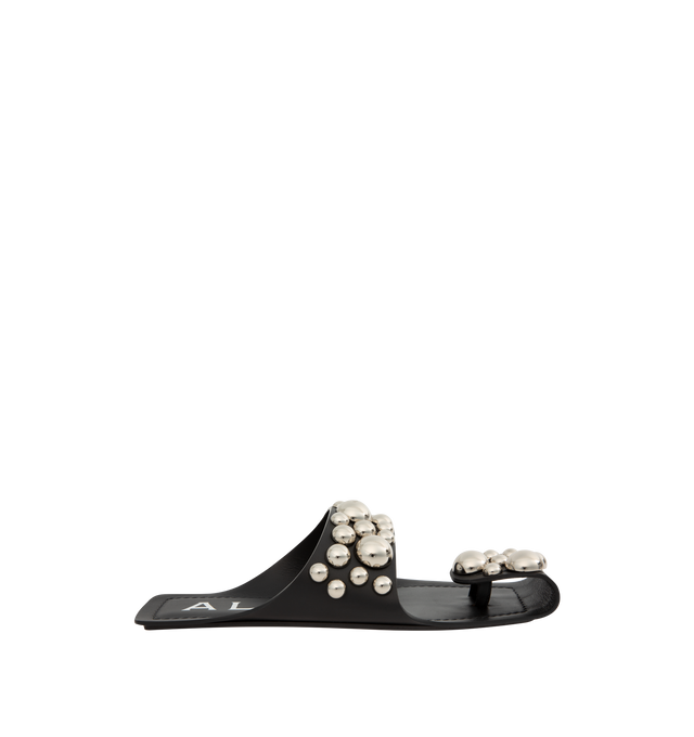 FLAT STUDDED SANDALS WOMENS HIRSHLEIFERS