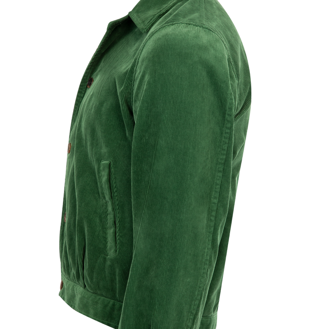 Image 3 of 3 - GREEN - AURALEE Pigment Dyed Finx Corduroy Blouson featuring luxurious Egyptian Finx cotton, beaten and washed, garment dyed, button front closure, handwarmer pockets and short length. 100% cotton. 