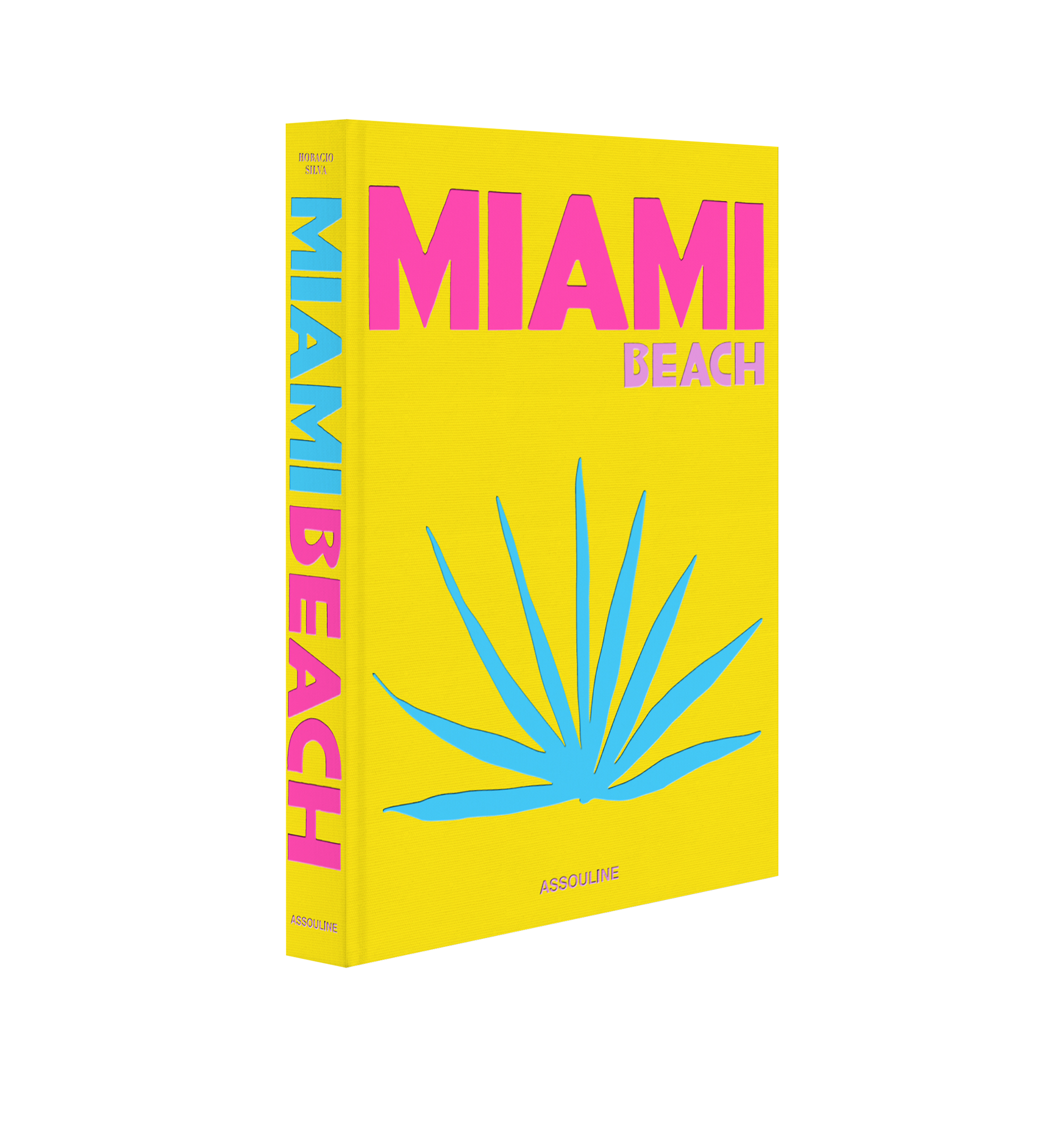 MIAMI BEACH BOOK