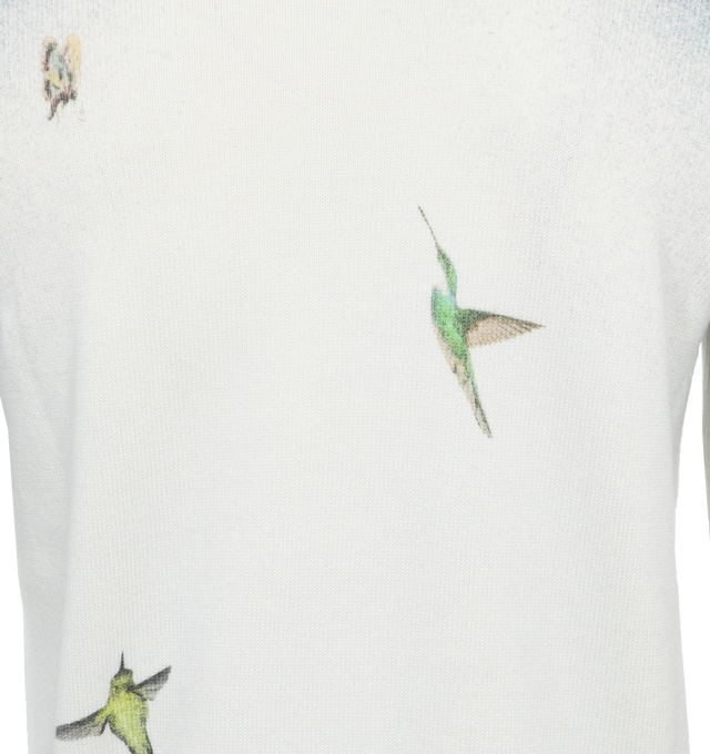 Hummingbird jumper 2025