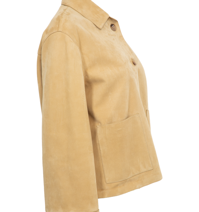 Image 3 of 5 - GOLD - LOEWE TURN-UP JACKET is a lightweight suede lambskin jacket with a relaxed fit, short length, turn-up cuffs, classic collar, button front fastening and front pockets. 100% suede. 