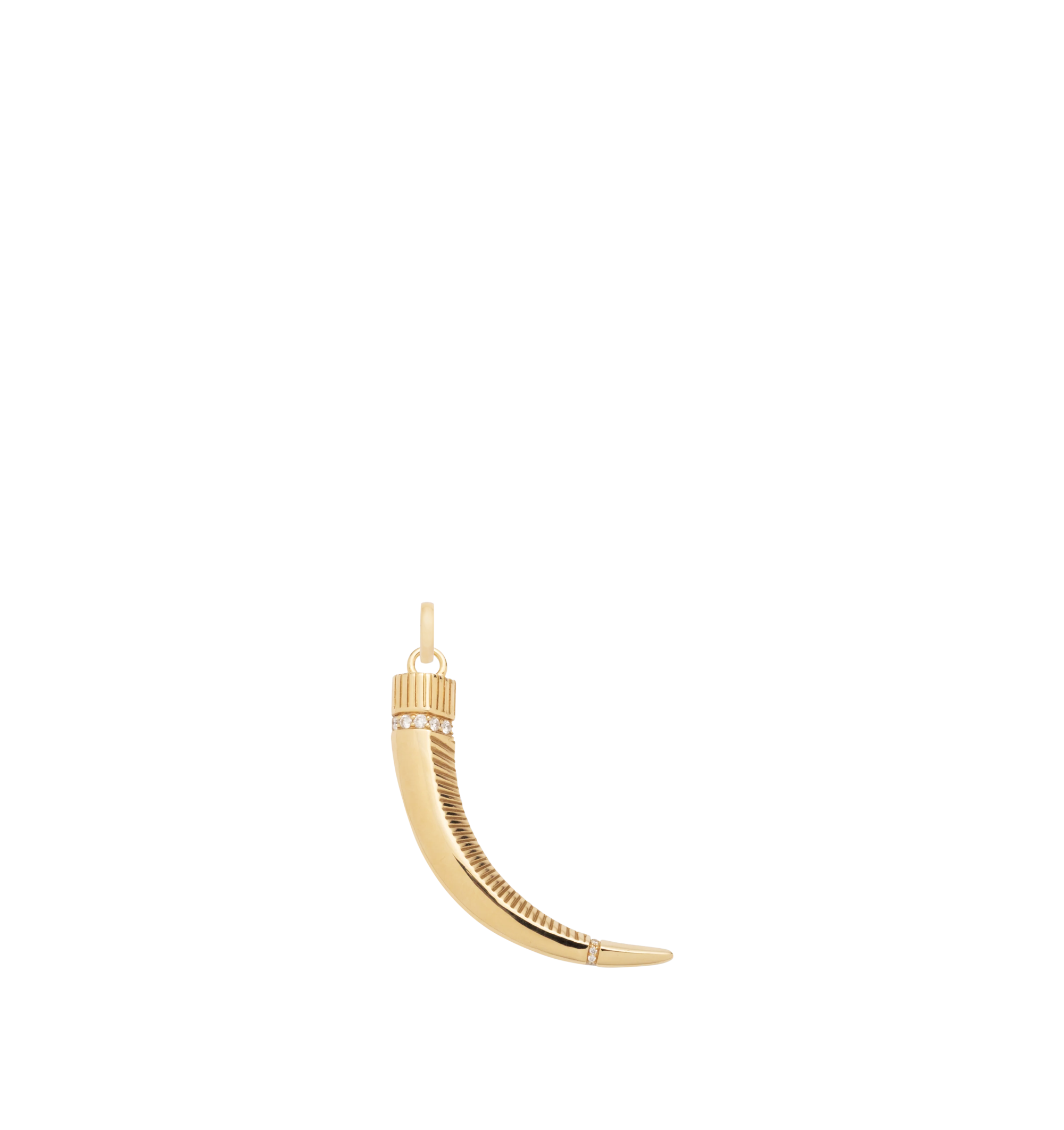 PROTECTION CLAW PENDANT