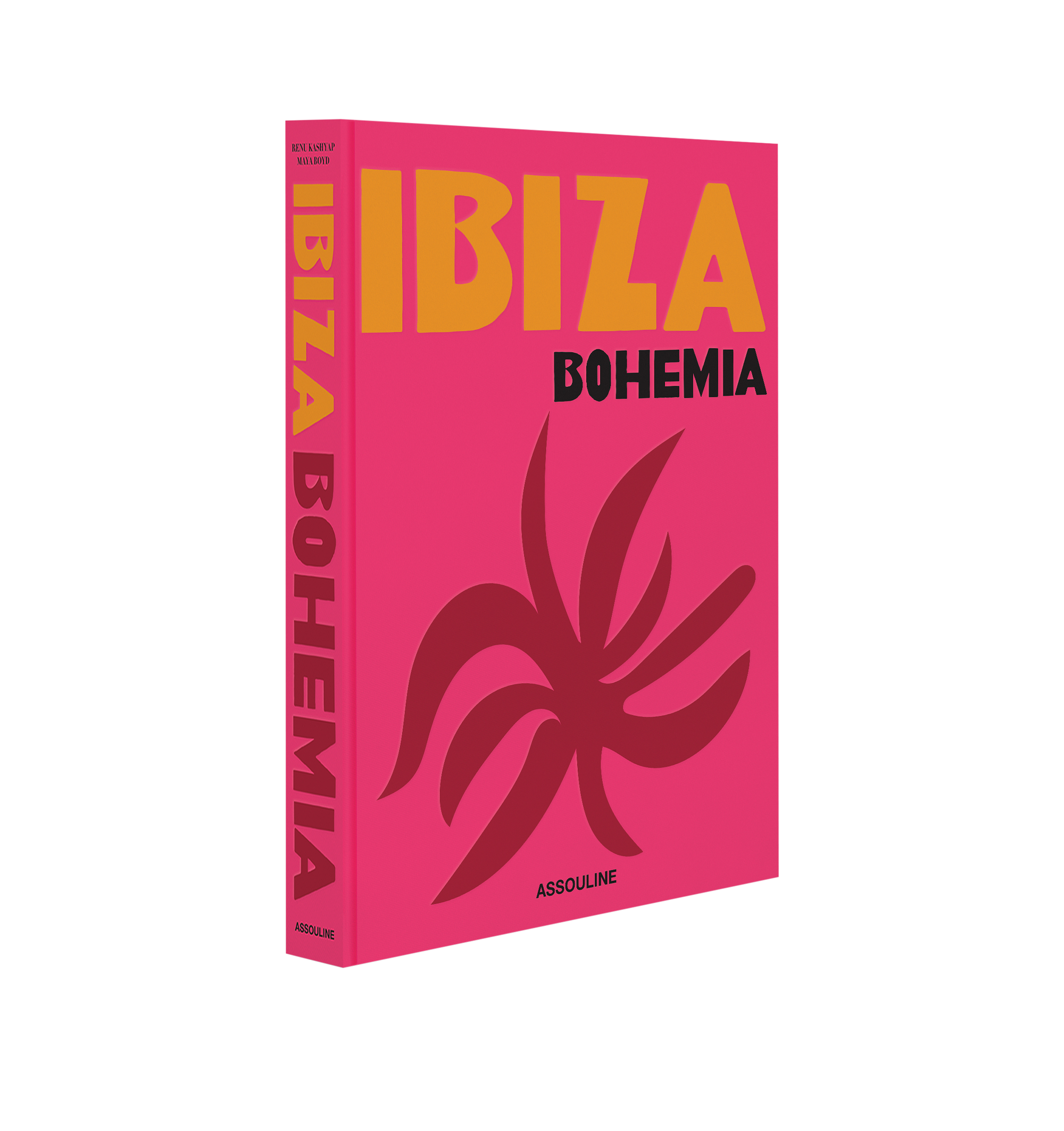 IBIZA BOHEMIA BOOK