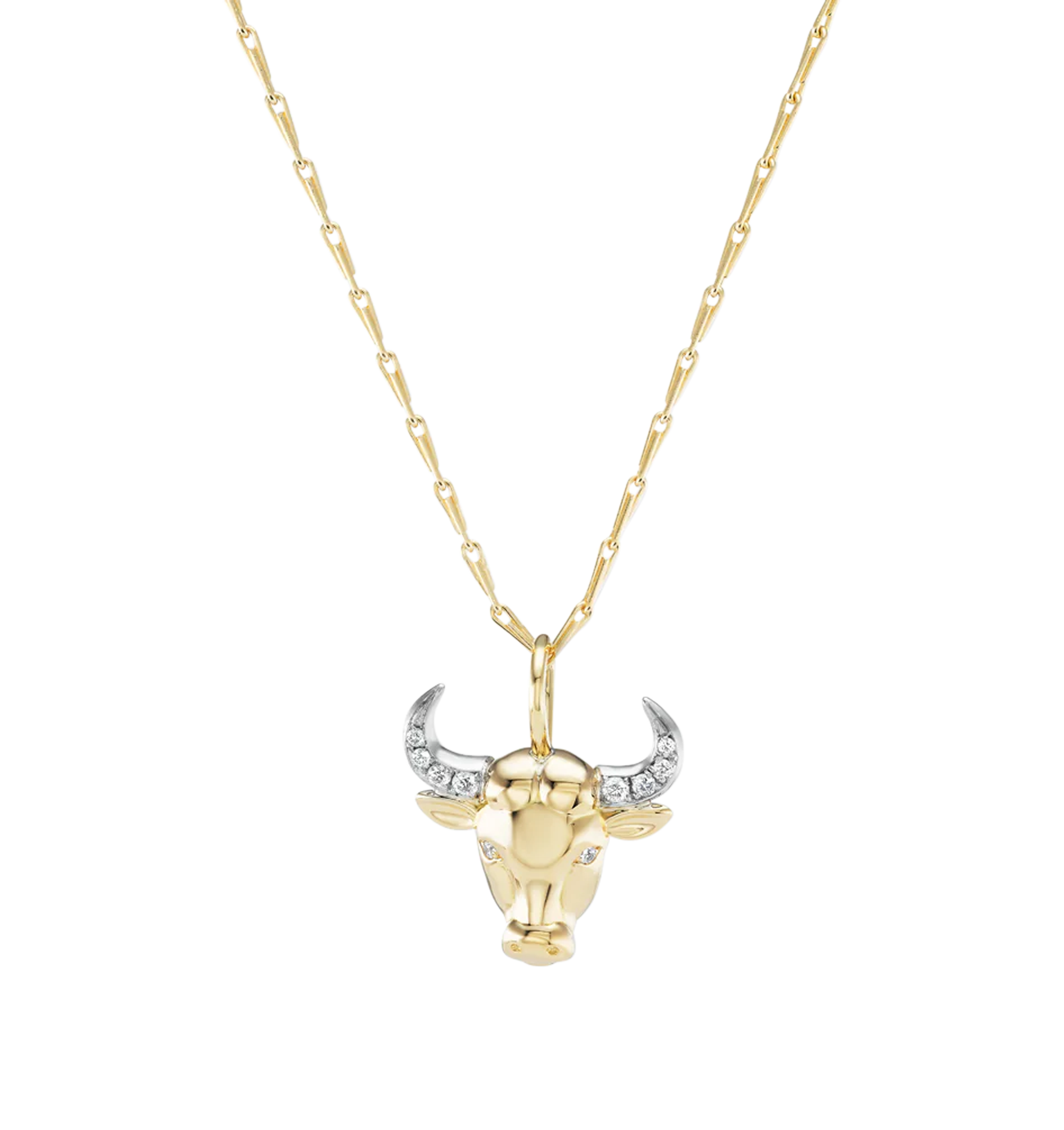 HOT Charm Necklace Alex And Ani Grandmother Necklace Alex